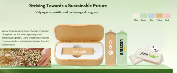 Eco-Friendly USB Sticks: A Sustainable Choice for Your Business